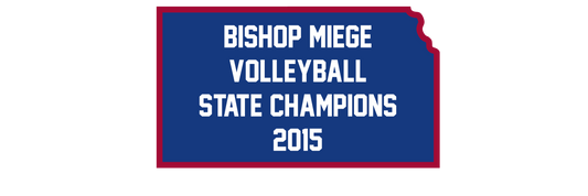 2015 Volleyball State Champions